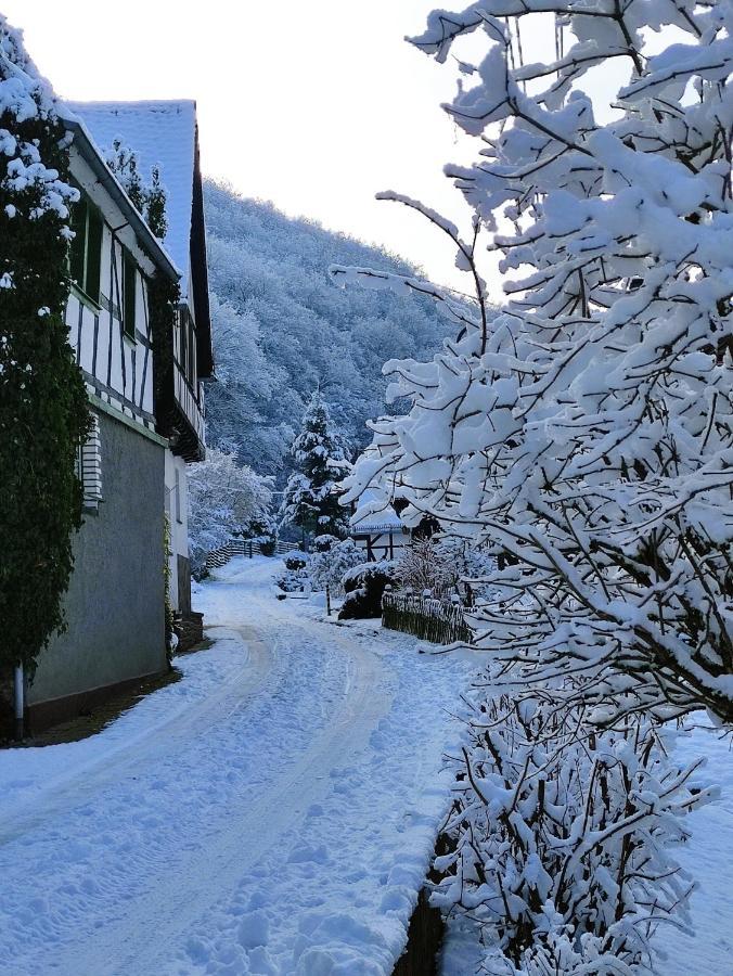Ferienwohnung 'Unter Der Burg' Brodenbach Dış mekan fotoğraf