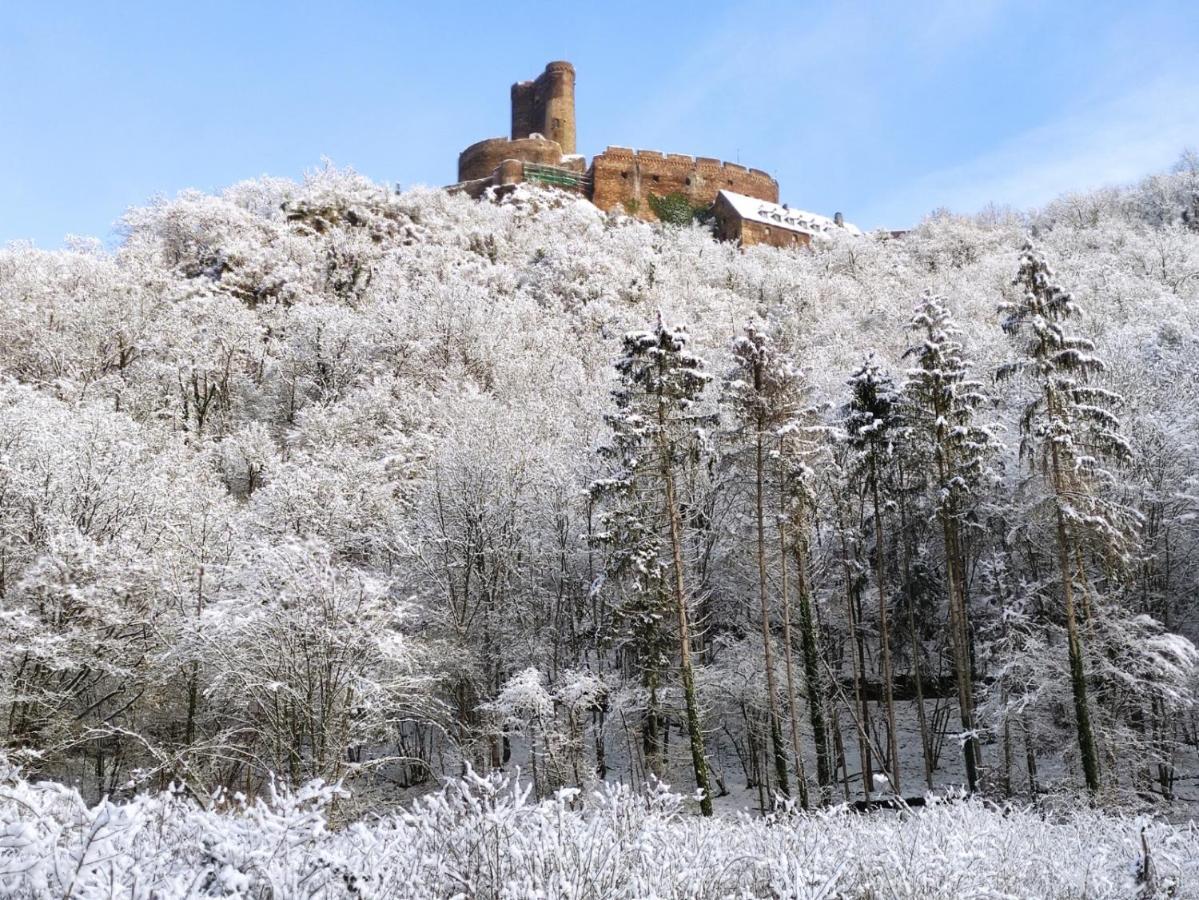 Ferienwohnung 'Unter Der Burg' Brodenbach Dış mekan fotoğraf